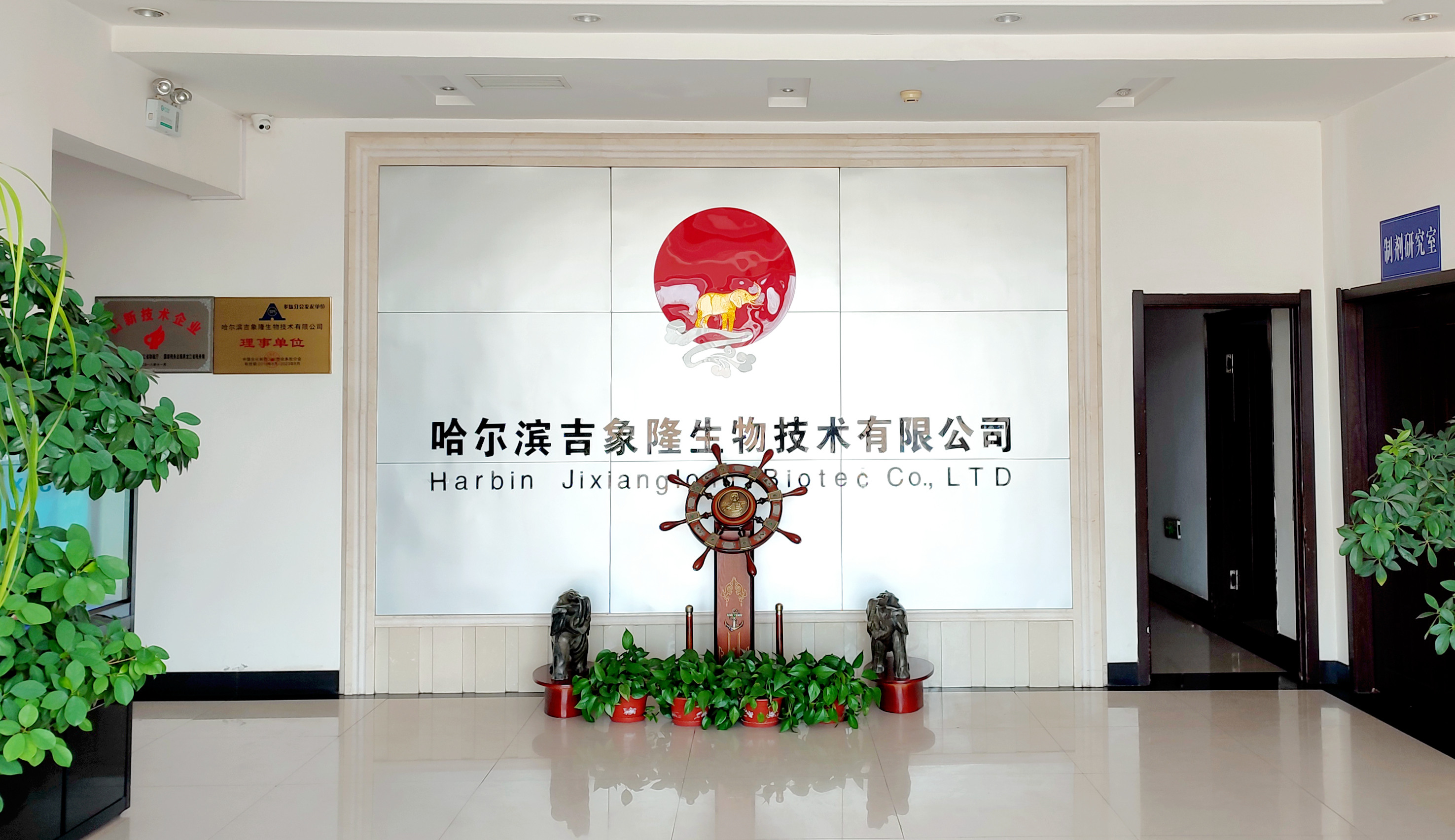 LD电竞·(中国)官方网站